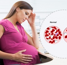 Показатели крови во время беременности